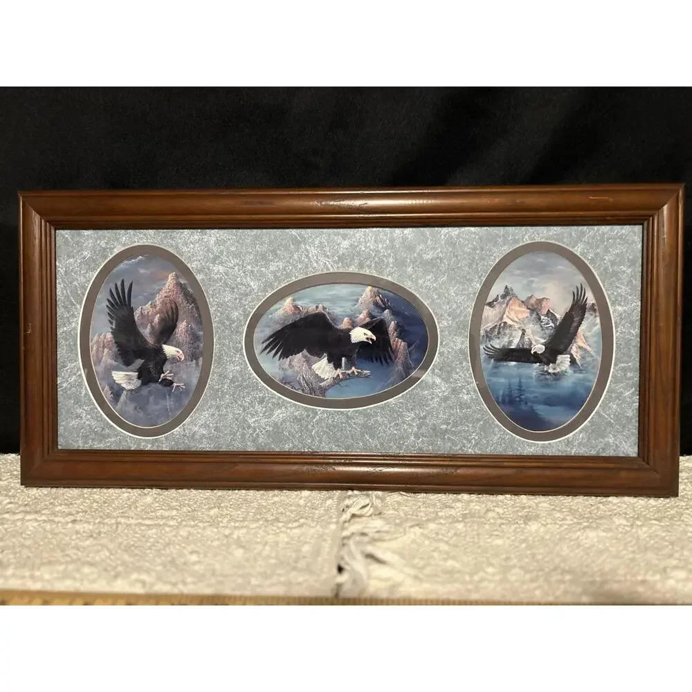 Vintage Bald Eagle Mountain Triptych Framed Art 21.5x9.5‎ Rustic Decor